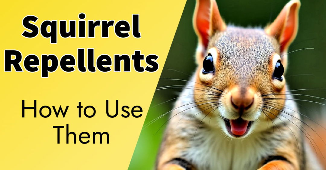 10 natural squirrel repellents
