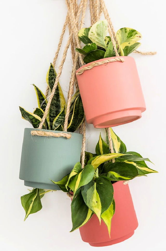 $5 Hanging Planter Tutorial