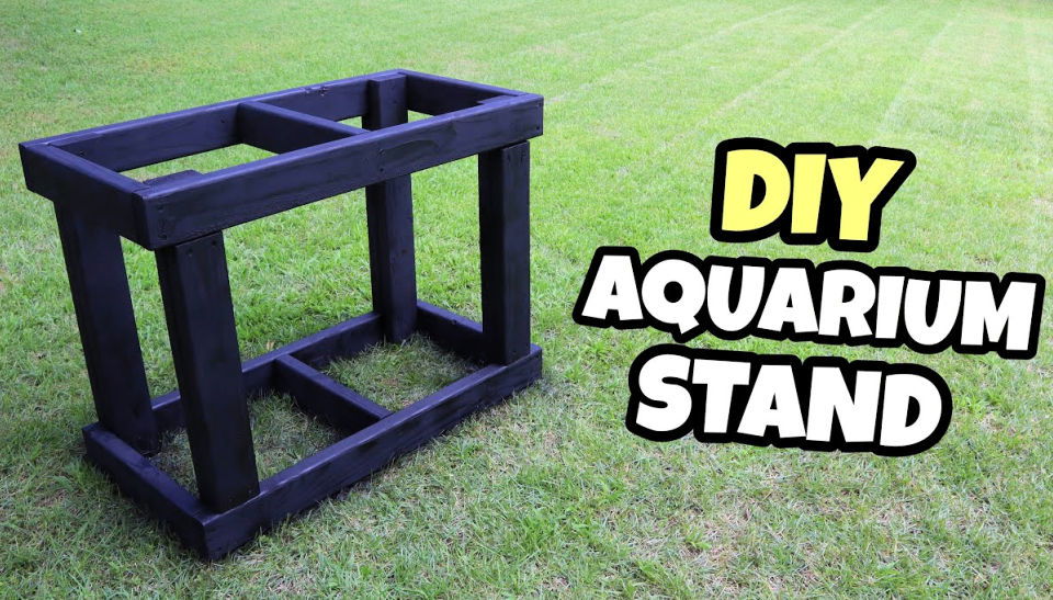 Cheap DIY Aquarium Stand For 40 Gallon