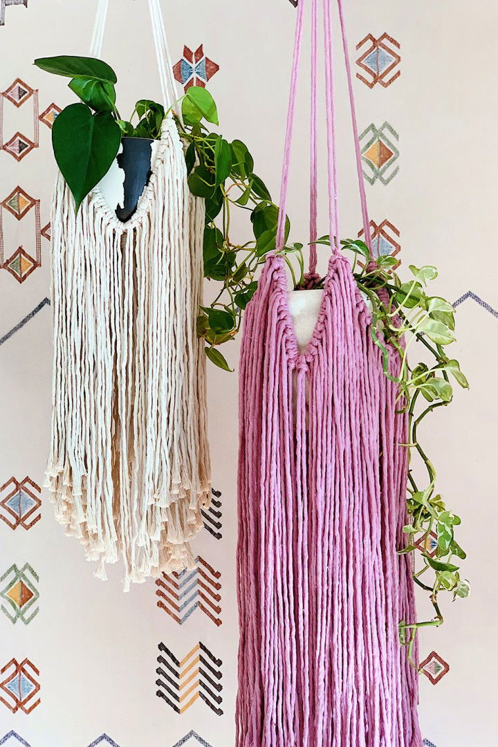 Create a Fringed Macrame Plant Hanger