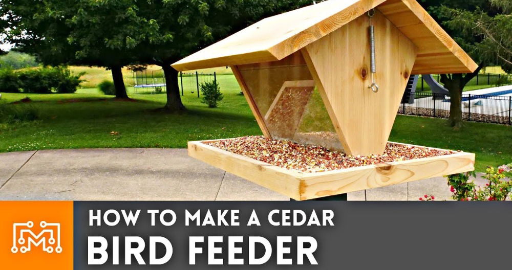 diy bird feeder