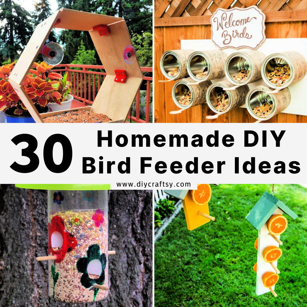 DIY bird feeders