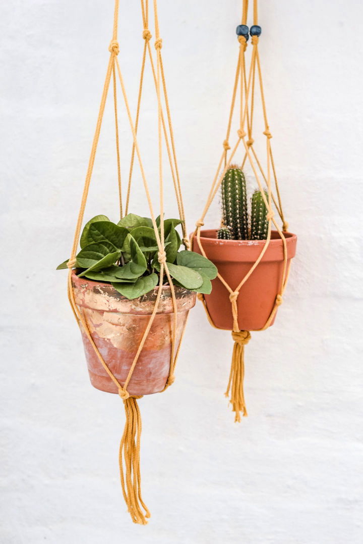 DIY Macrame Plant Hanger With Hobbycraft