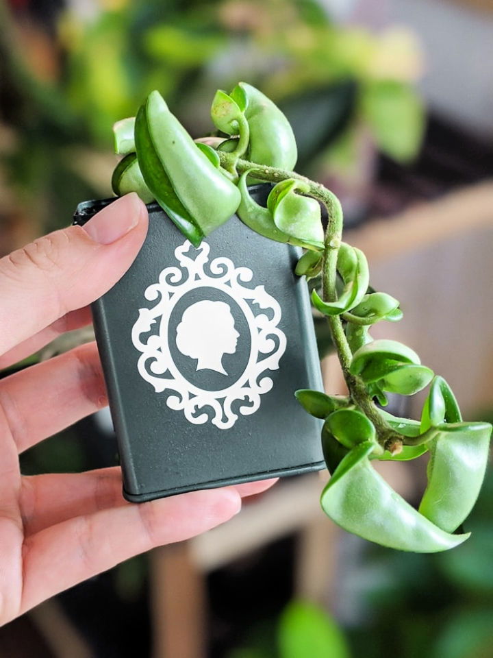 DIY Planter Out of an Upcycled Can