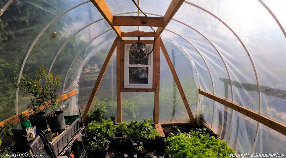 DIY PVC Greenhouse Step by Step Instructions