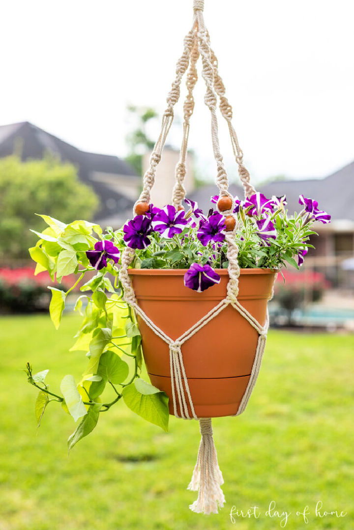 Easy DIY Macrame Plant Hanger
