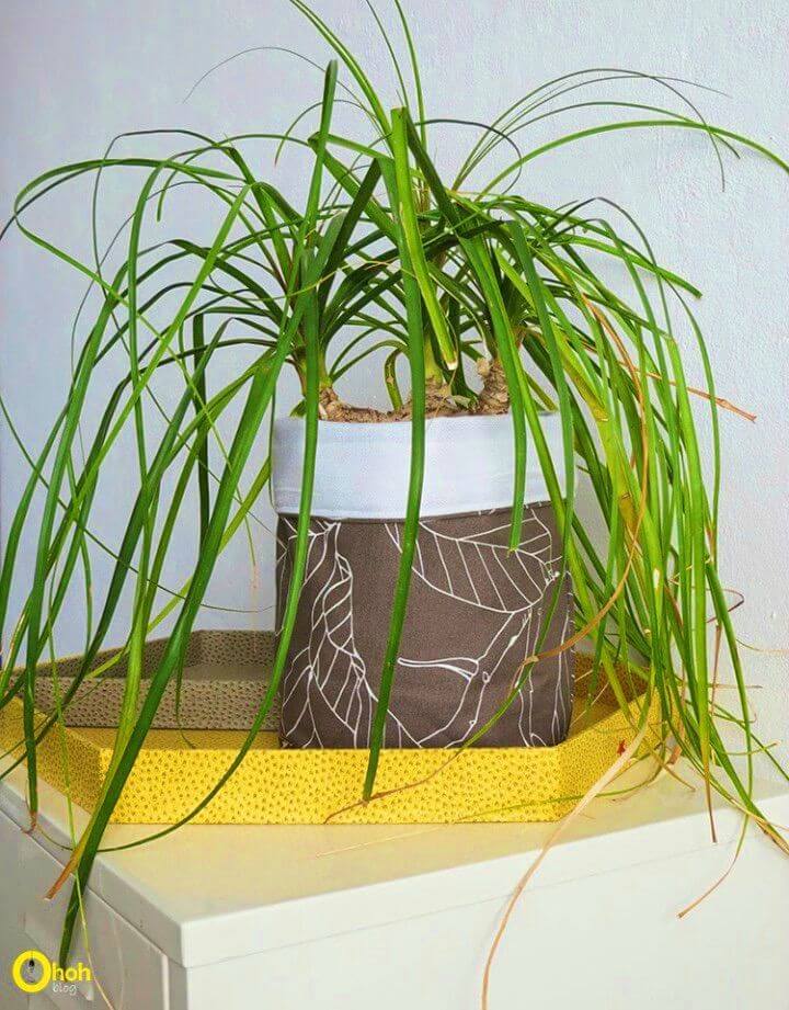 Easy DIY Planter with a Plastic Bottle