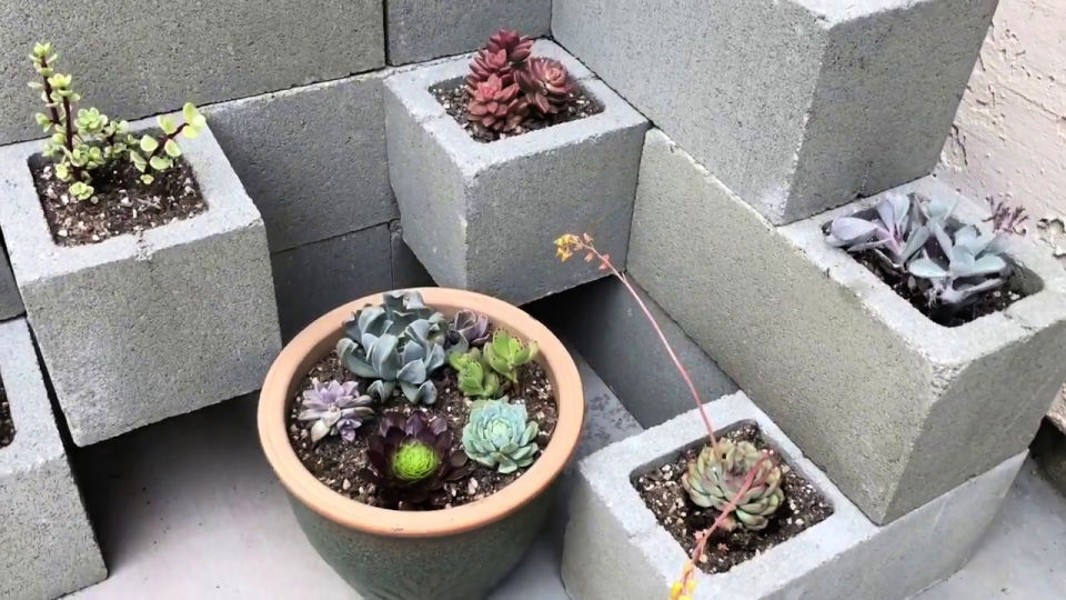 Homemade Cinder Block Planter