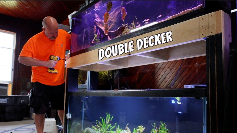 Homemade Wooden Double Aquarium Stand