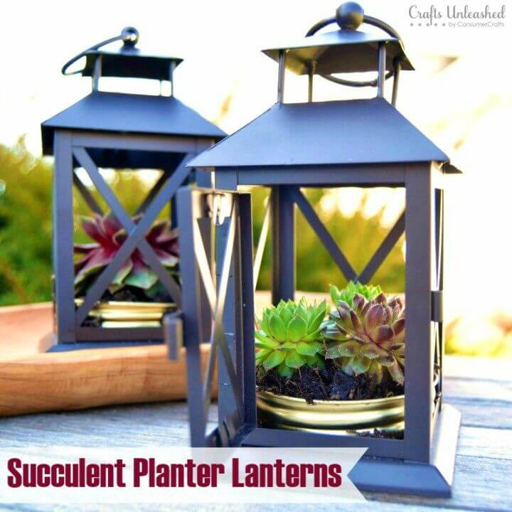 How to DIY Succulent Planter