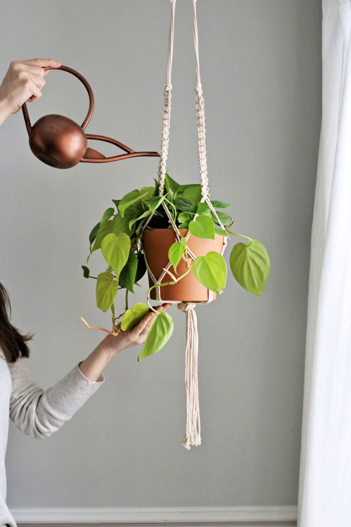 How to Make a Macrame Plant Hanger
