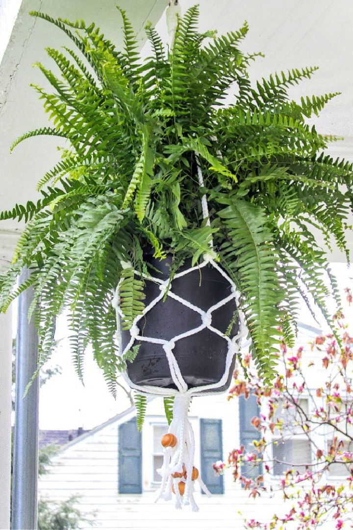 DIY Macrame Plant Hanger