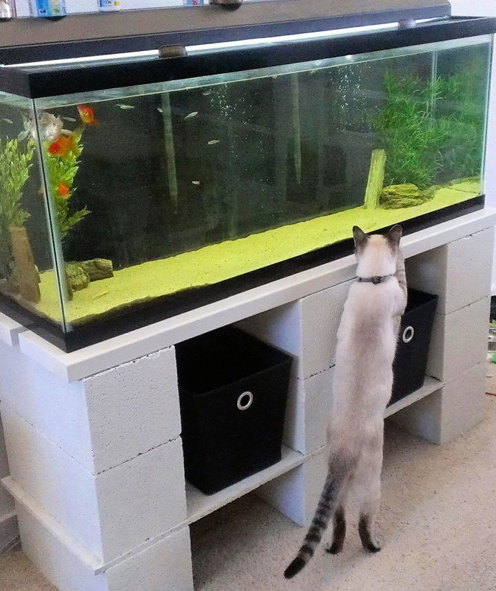 Making an Aquarium Stand With Cinder Blocks