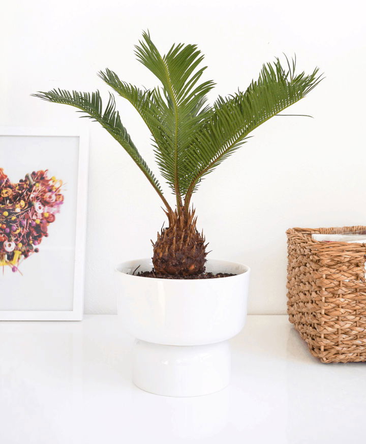 Modern DIY Mid Century Planter