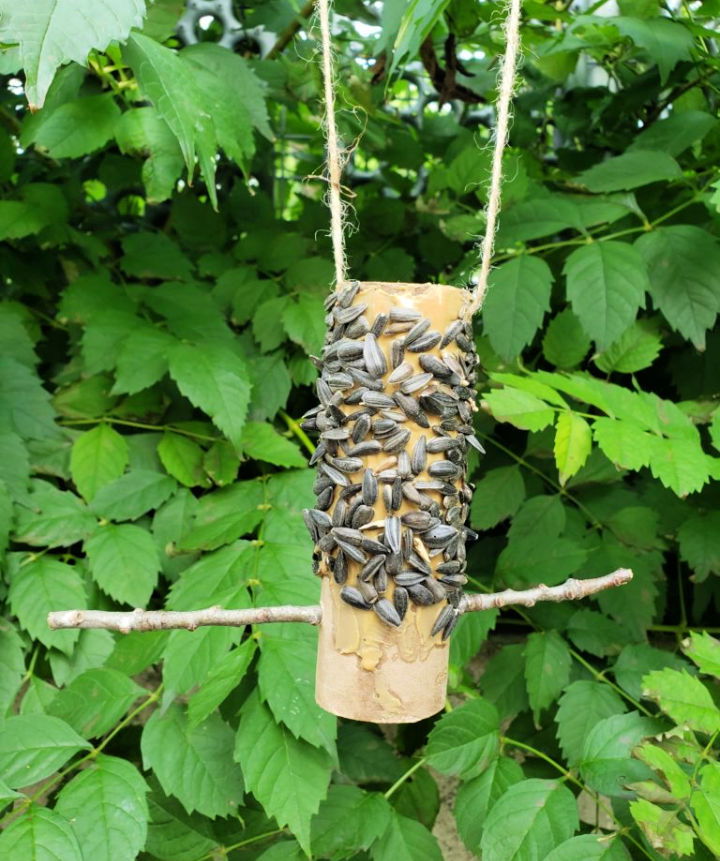 Simple Backyard Bird Feeder Ideas